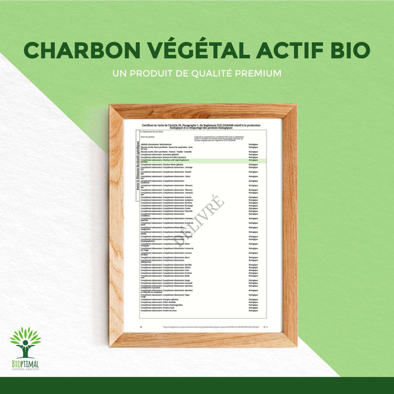 Organic Plant Activated Charcoal Powder – Digestive comfort and support of fat metabolism