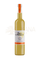 Eine schlanke 500ml glasflasche ben’s ginger bio ingwer kurkuma mit orangefarbenem verschluss und goldgelbem inhalt
