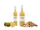 Two glass bottles of ben’s ginger ingwer bio shot with golden-yellow ginger juice for digestion and vitality