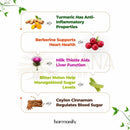 Infografik zu berenberin komplex 5-in-1 mit ceylon zimt, kurkuma und milchdistel und deren gesundheitliche vorteile