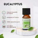 Zen'Arôme - Eukalyptus ätherisches Öl – 100 % Naturrein – 10 ml