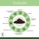 Ein dunkles braunes, fein gemahlenes bio acai pulver als superfood mit pflanzenbasiertem protein in einem kreisdiagramm