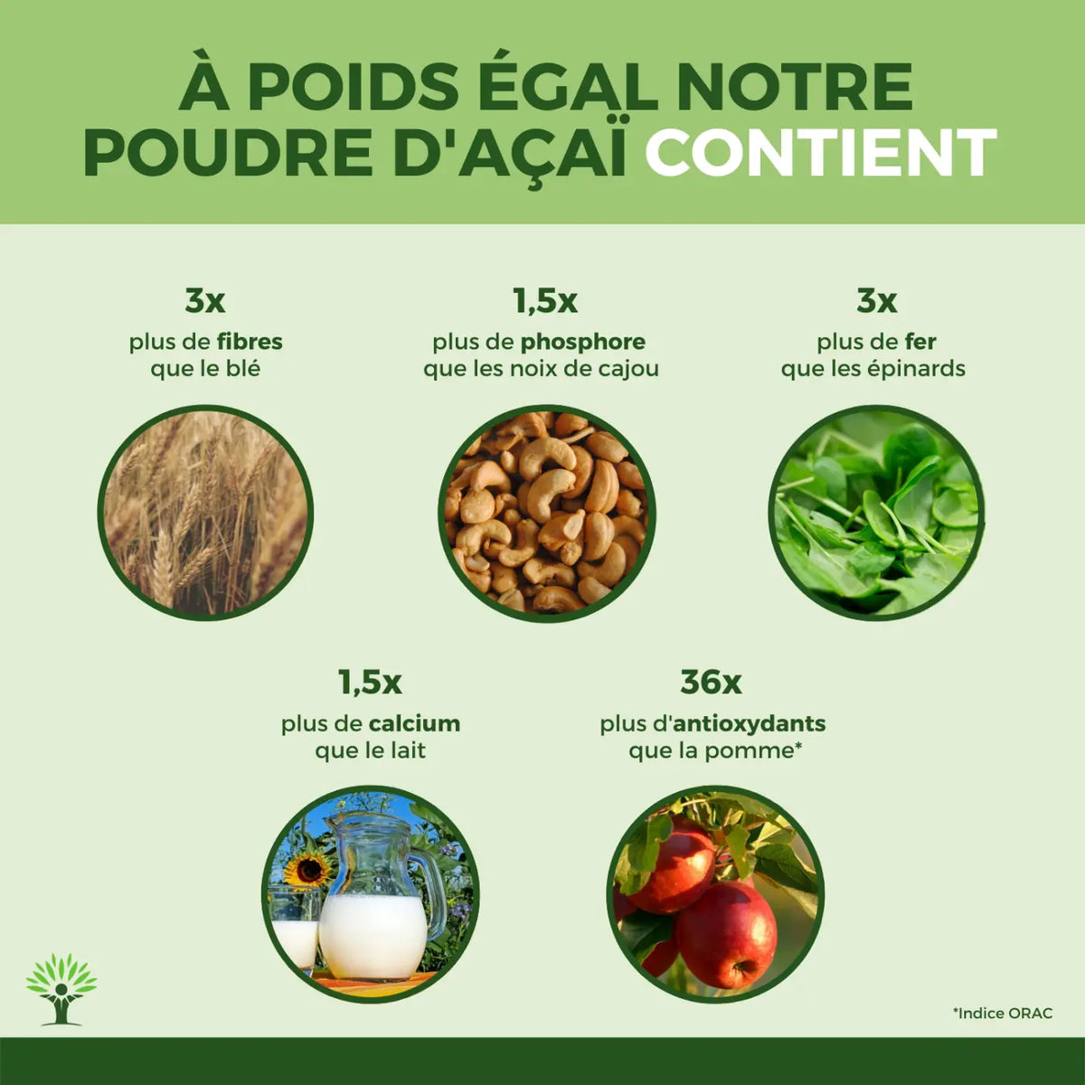 Bio-Acai-Pulver von Bioptimal, vegane Nahrungsergänzung in Infografik, zeigt grünes Acai-Pulver in Packung und Löffel.