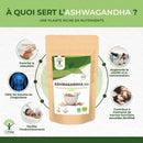 Bioptimal Bio Ashwagandha Pulver 100 g, natürliches Adaptogen für Energie, Balance und Wohlbefinden in einem Glas.