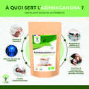 Bio-Ashwagandha-Pulver von Bioptimal, nährstoffreiches Nahrungsergänzungsmittel für mehr Kraft, Ruhe und Balance, 100 g.