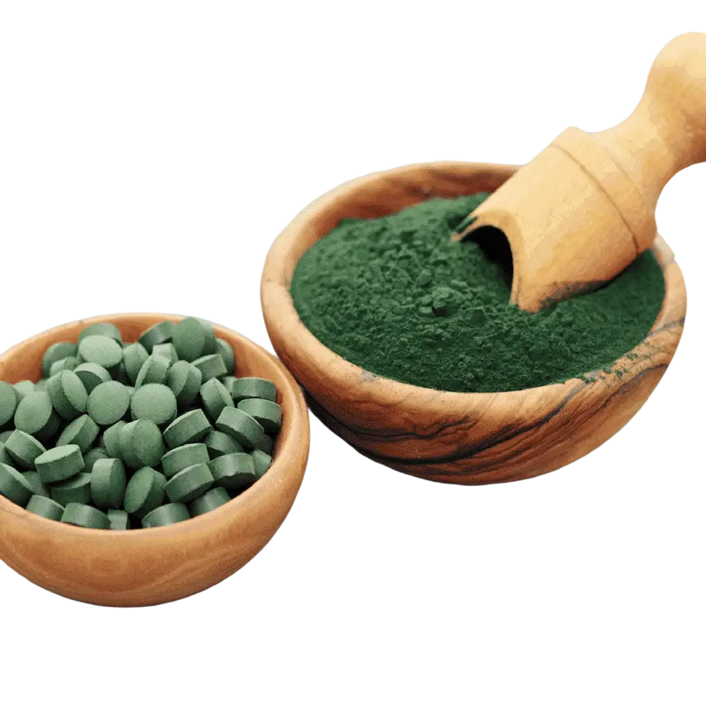 Bio Chlorella Tabletten von myvial, vegane Nahrungsergänzung, 240 Presslinge, zeigt die grünen Tabletten in einer Packung.