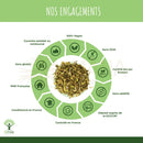 Ein haufen getrockneter grünlich brauner blätter im kreisförmigen infographic bio detox kräutertee aus grünem tee