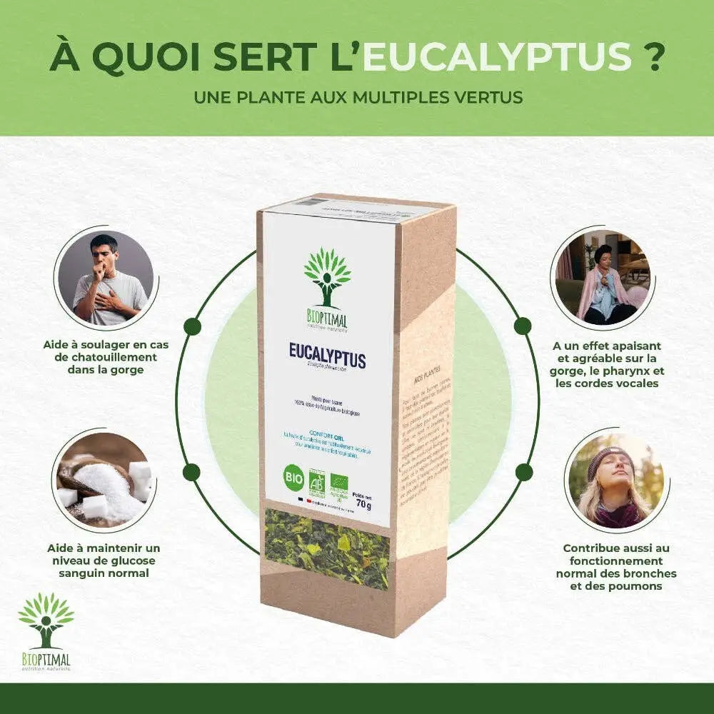 Bio-Eukalyptus-Tee von Bioptimal in rechteckiger Pappschachtel, frisch und aromatisch, ideal für entspannenden Eukalyptus-Tisanen-Tee