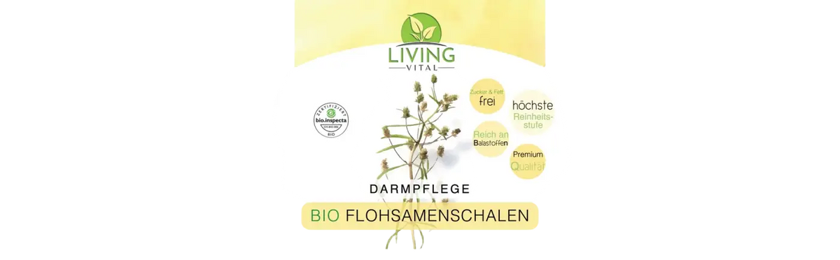 Bio Flohsamenschalen von Living Vital für Darmreinigung und Vitalität, 400g, natürliche Nahrungsergänzung in Packung