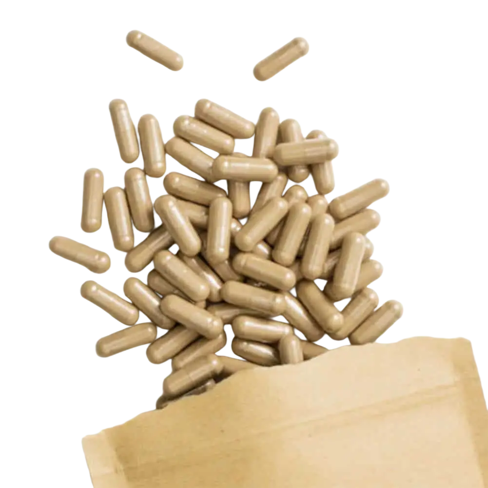 Bio Gotu Kola Kapseln von myvial, Nahrungsergänzung, 120 Kapseln für Haut, Gehirn und Durchblutung, in einer braunen Packung