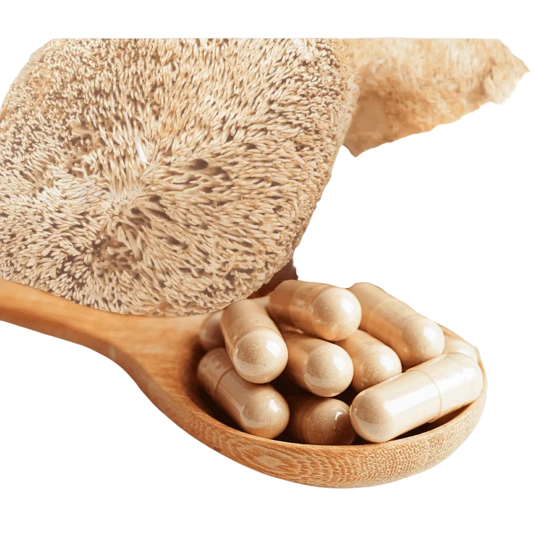 Bio Hericium, Produktfoto