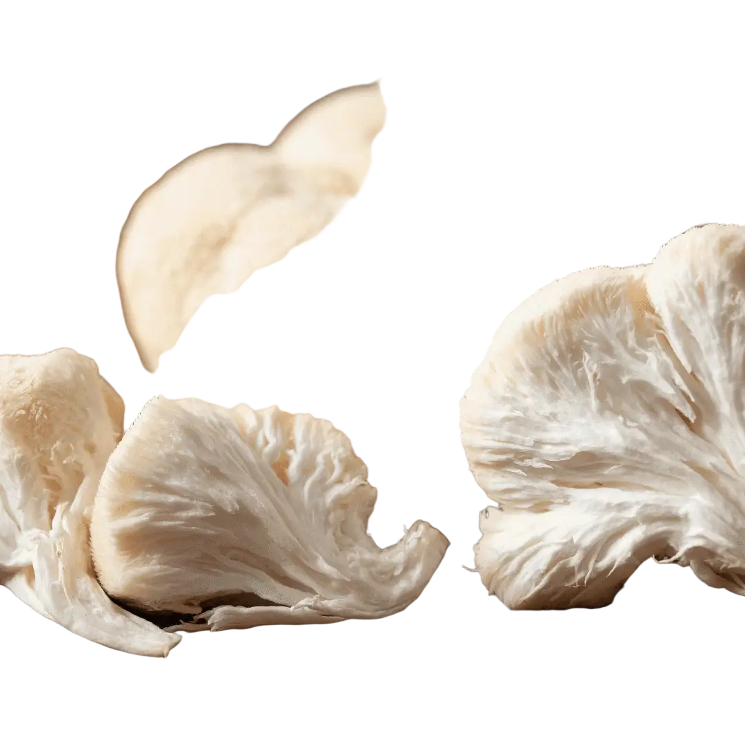 Bio Hericium, Detail
