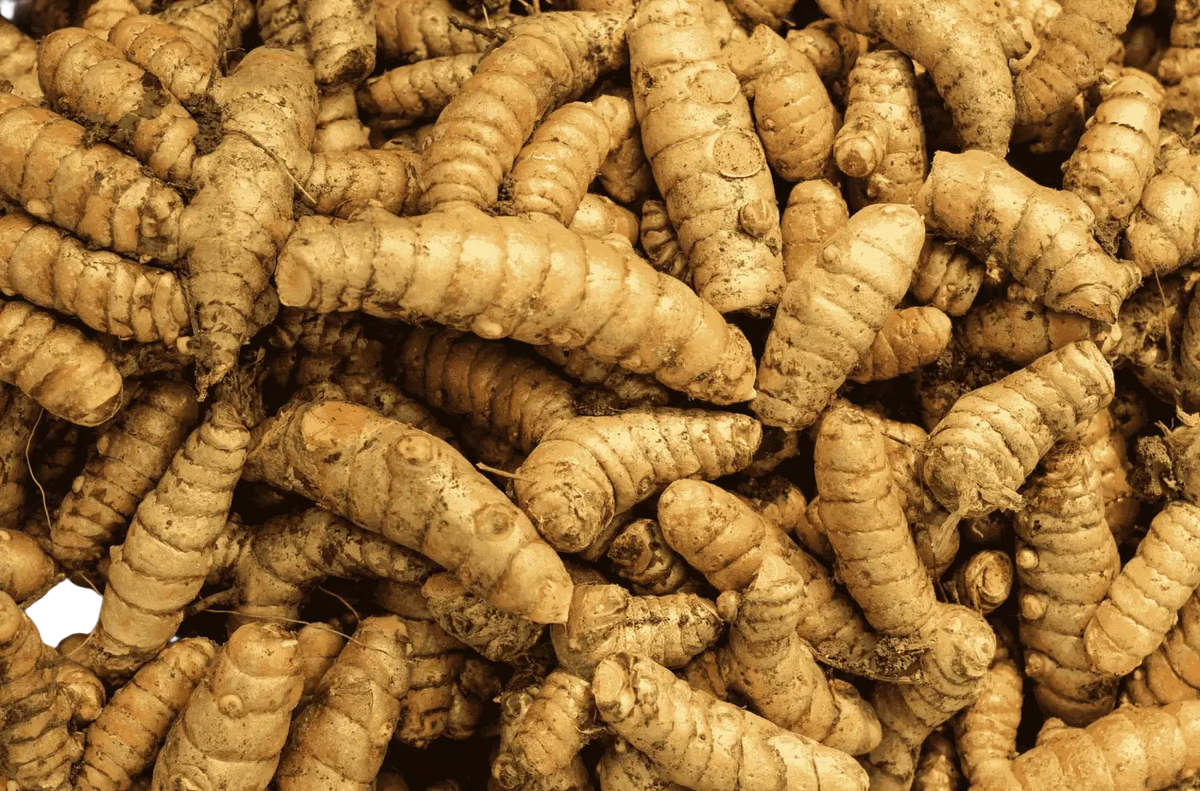 Vegan Bio-Kurkuma-Kapseln mit Bio-Pfeffer, 120 Stück, Nahrungsergänzung, in einer weißen Flasche, natürliche Inhaltsstoffe.