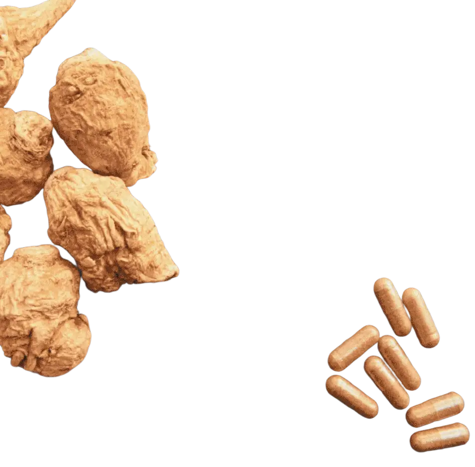 Verschiedene Bio Maca Kapseln (schwarz, rot, gelb) mit Vitamin C, vegan, Nahrungsergänzung, von myvial.