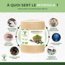 Braune zylinderförmige dose biooptimal organische moringa pulver mit weißem etikett grünem text blutzuckerwerte abnehmen moringa kaufen