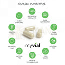 Drei off-white, transparente bio moringa kapseln von myvial aus dem mana shop vegan und organisch