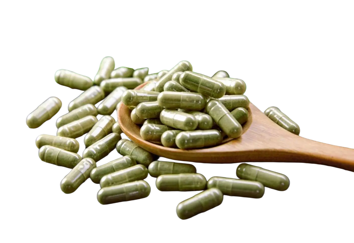 Veganer Bio Moringa Kapseln von myvial, 120 Stück, Nahrungsergänzung, grüne Kapseln in einer Packung.