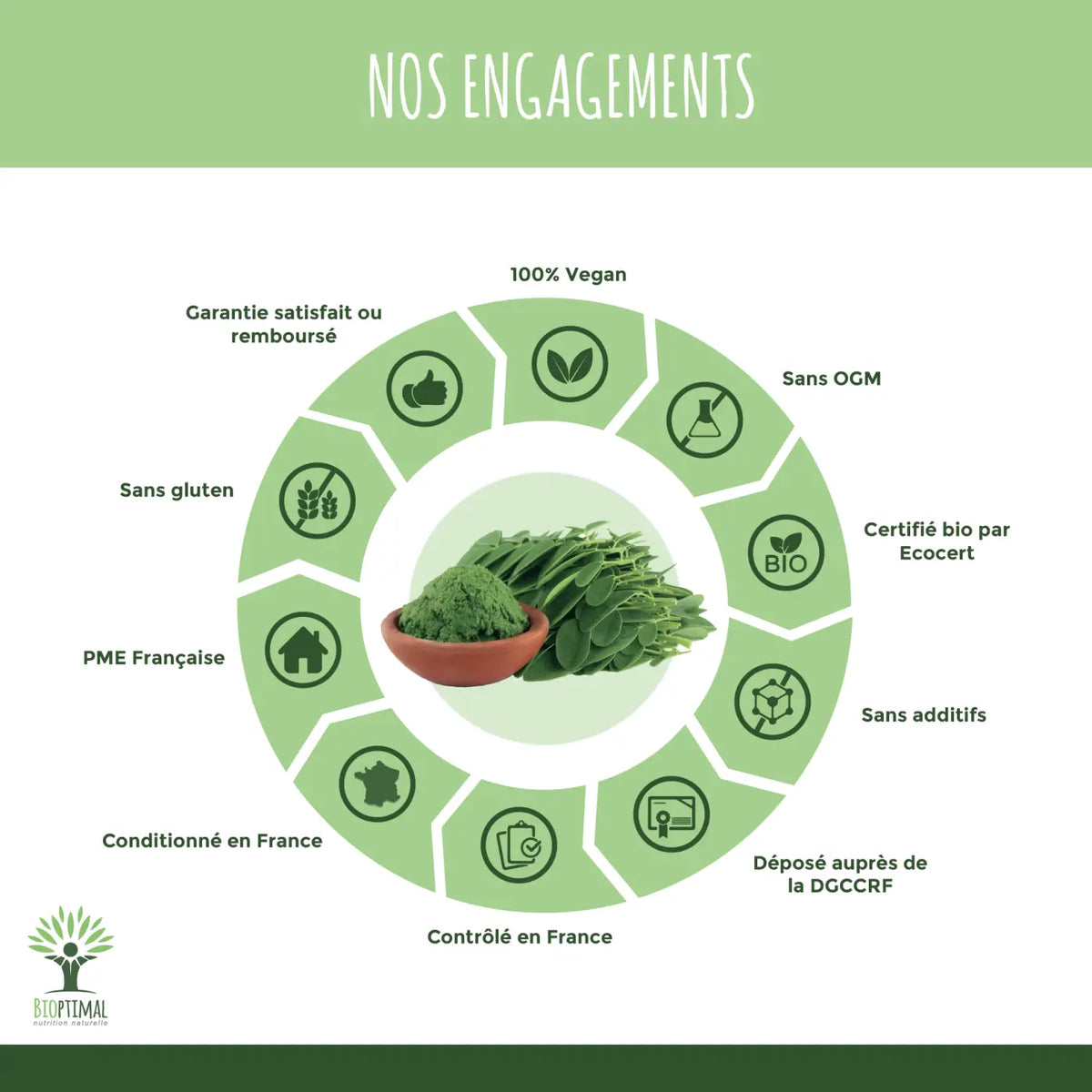 Bio-Moringa-Pulver Vegan in einer Terrakottaschüssel, Nahrungsergänzung, von Bioptimal, 100 g, natürliche grüne Pulver.