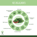 Bio-Moringa-Pulver Vegan in einer Terrakottaschüssel, Nahrungsergänzung, von Bioptimal, 100 g, natürliche grüne Pulver.