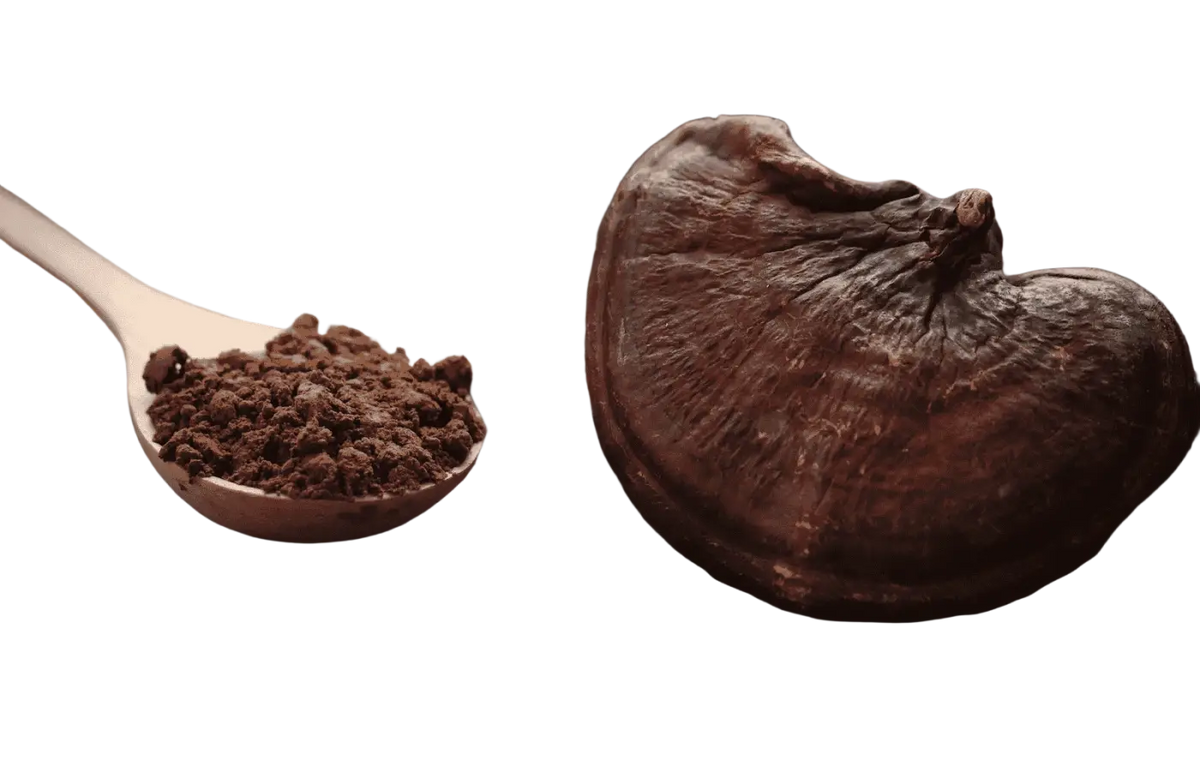 Bio Reishi Pulver von myvial, 100 g, veganes Ling Zhi Nahrungsergänzung in einem transparenten Glas mit Pulver.