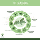 Grünes kreisförmiges infographic mit blattmotiv und französischen labels zu hormonelles gleichgewicht übermäßiges schwitzen und menstruationskomfort