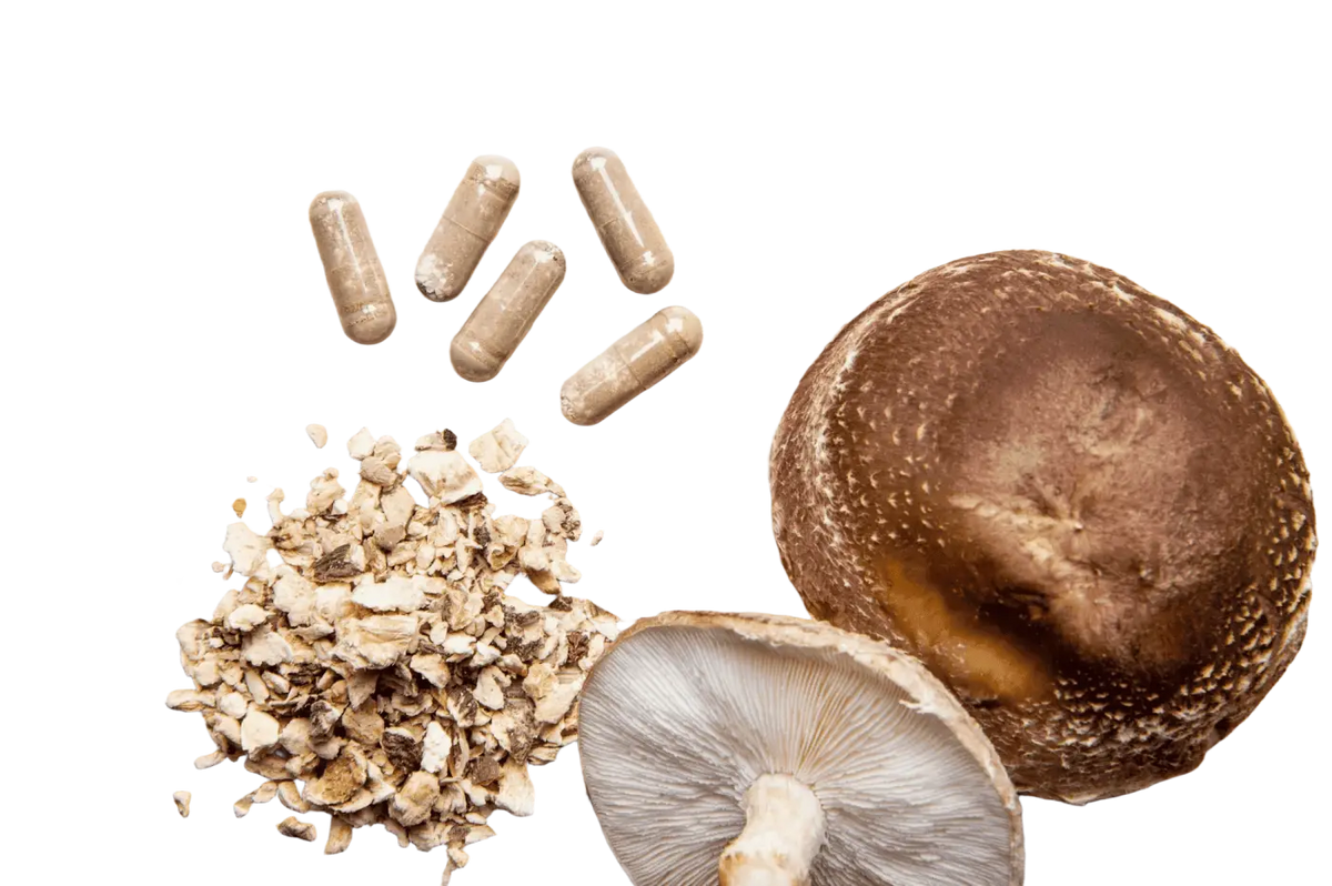 Vegan Bio-Shiitake Kapseln von myvial, 120 Stück, Nahrungsergänzung in brauner Verpackung, natürliche Kapseln