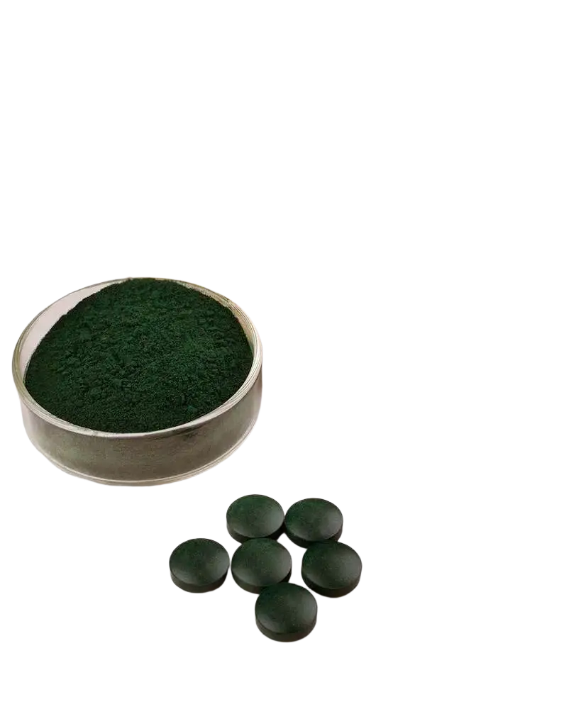 Bio Spirulina Tabletten von myvial, 240 vegane Nahrungsergänzungspillen in einer Packung auf weißem Hintergrund.