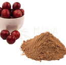 Ein mound feines, erdiges braunes vitamin c pulver aus camu camu bio neben einer schale mit glänzenden roten camu camu beeren