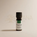 Kleine dunkle glasflasche mit schwarzem rippverschluss und etikett mit grünakzenten bio organisches ylang-ylang von comptoir des huiles für aromatherapie