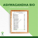 Bio-Ashwagandha-Pulver von Bioptimal, natürliches Nahrungsergänzungsmittel für mehr Kraft, Ruhe und Balance, in einer Packung voller Ashwagandha.