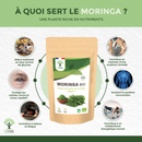 Bio-Moringa-Pulver von Bioptimal, veganes Nahrungsergänzungsmittel in einer offenen Dose, fein gemahlenes grüne Moringa-Pulver