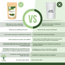 Bio-Moringa-Pulver von Bioptimal, veganes Nahrungsergänzungsmittel, feines grünliches Pulver in Glasverpackung