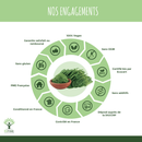 Bio-Moringa-Pulver von Bioptimal, veganes Nahrungsergänzungsmittel in einer offenen Packung mit grünen Moringa-Blättern.