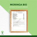 Bio-Moringa-Pulver von Bioptimal in einer Dose, vegan und biologisch, als Nahrungsergänzungsmittel in einem Glas.
