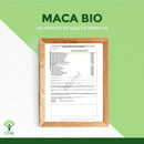 Bio-Maca-Pulver von Bioptimal, veganes Nahrungsergänzungsmittel für Energie, Vitalität, Libido und Fruchtbarkeit in einer Packung