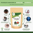 Bioptimal Bio-Spirulina und Vitamin C Nahrungsergänzung in Tablettenform, für mehr Energie und Wohlbefinden.