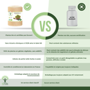 Bio-Moringa - Blutzuckerspiegel, Abnehmen - Nahrungsergänzungsmittel - in Kapseln – Produktbild