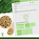 Bio-Moringa - Blutzuckerspiegel, Abnehmen - Nahrungsergänzungsmittel - in Kapseln – Produktbild