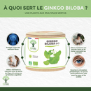Bio Ginkgo Biloba Nahrungsergänzungsmittel von Bioptimal, 60 und 200 Kapseln, für Gedächtnis und Durchblutung