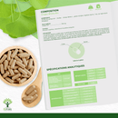 Bio-Ginkgo Biloba Nahrungsergänzungsmittel von Bioptimal, 60 oder 200 Kapseln, fördert Gedächtnis und Durchblutung.