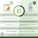 Bioptimal Bio-Kurkuma Nahrungsergänzung in Kapseln, fördert Gelenke und Gewichtsabnahme, natürliche Kurkuma-Extrakte in Kapsel-Form