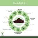 Organic Acai Powder - Vegan