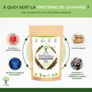 Bio Hanfproteinpulver von Bioptimal, veganes Nahrungsergänzungsmittel, 50% Protein, feine Textur, für eine optimale Verdauung.