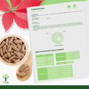 Bio Rote Rebe Kapseln von Bioptimal, rotes Weinblattextrakt als Nahrungsergänzung, in einer transparenten Dose mit Kapseln