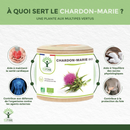 Infografik für Bioptimal Bio-Mariendistel, die Vorteile für die Herzgesundheit, den Blutzuckerspiegel, die körpereigenen Abwehrkräfte und den Leberschutz aufzeigt.