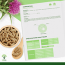 Infografik für Bioptimal Bio-Mariendistel-Nahrungsergänzungsmittel mit Angaben zu Inhaltsstoffen, Anwendung (3-4 Kapseln/Tag), Kapselgröße sowie analytischen Spezifikationen für Schadstoffe und Mikrobiologie.