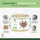 Bio Harpagophytum Teufelskrallen Nahrungsergänzung in Kapseln, für Verdauung, Gelenke und Appetit, von Bioptimal