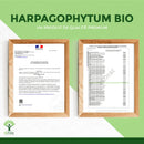 Bio Harpagophytum Teufelskrallen Nahrungsergänzung in Kapseln, für Verdauung, Gelenke und Appetit, von Bioptimal