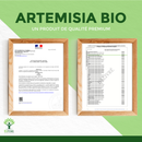 Bio-Artemisia Nahrungsergänzung in Kapseln von Bioptimal, unterstützt Menstruationsbeschwerden und Muskelaufbau, natürliche Ergänzung
