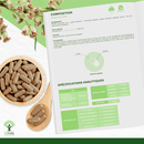 Bioptimal Bio-Artemisia Nahrungsergänzung in Kapseln, zur Linderung von Menstruationsbeschwerden und Muskelaufbau, in Dose.